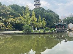 -江心屿景区