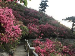 -木兰云雾山