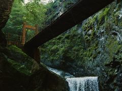 -牛背梁国家森林公园