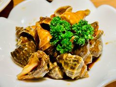 -波螺油子·海肠捞饭·青岛菜(银座店)