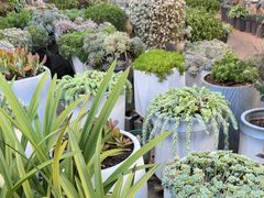 -山菌美食苑(振兴路店)