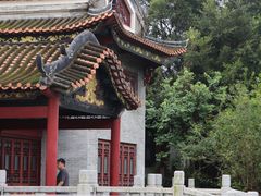 -顺峰山公园