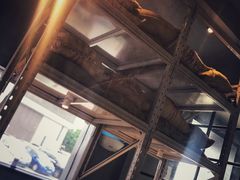 -来回·咖啡(钟村咖啡豆店)