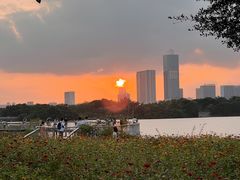 -海珠湖公园