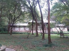 -紫霞湖公园