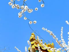 -北海公园