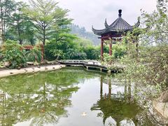 -广州神农草堂中医药博物馆