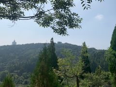 -原山国家森林公园