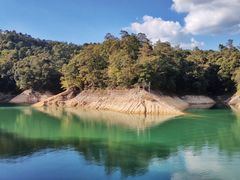 -广州市流溪河国家森林公园