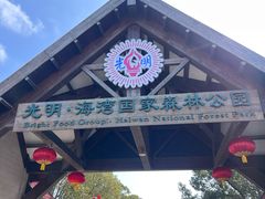 -上海海湾国家森林公园