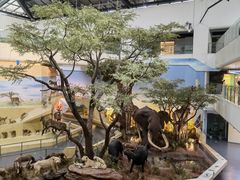 -长江文明馆