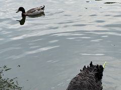 -厦门园林博览苑
