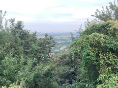 -上海佘山国家森林公园西佘山园