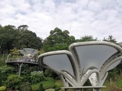 -云溪植物园