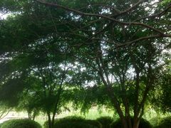 -昆山城市生态森林公园