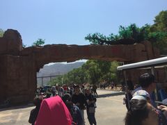 -桑干河大峡谷旅游区