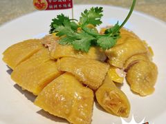 -新高记·粤菜·湛江鸡(南头古城店)