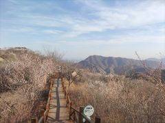 -大岭沟猕猴桃谷风景区