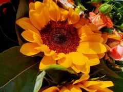 -VESH COFFEE(定西路店)