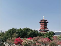 -厦门园林博览苑