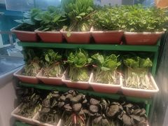 -海鸿荟·沿江菜(中山北路店)