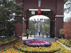 -南京银杏湖乐园