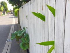 -灌篮高手动画打卡地
