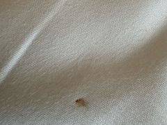 -无锡丽笙精选酒店