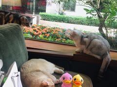 -咖法森林·咖啡  酒吧(天河店)