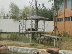 -苏州太湖国家湿地公园