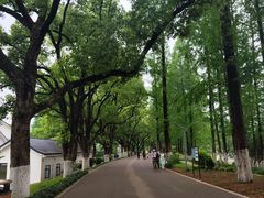 -食膳公园包子铺(烈士公园店)