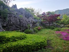 -千岛湖石林