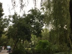 -柳浪闻莺公园
