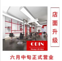 -ODIN 奥丁形象设计 