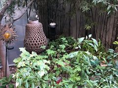 -阿莉餐厅(枣阳路店)