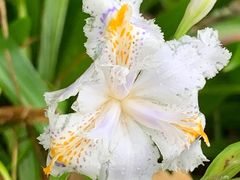 -南山风景名胜区