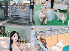 -上海佘山世茂艾美酒店