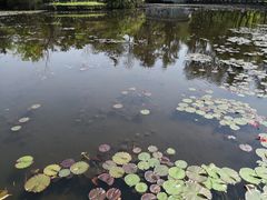 -四川大学(望江校区)