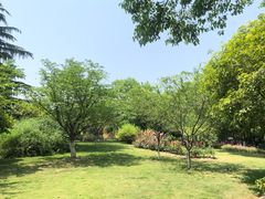 -大关公园