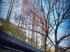 -苏州碑刻博物馆