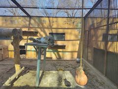 -青藏高原野生动物园