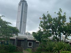 -万绿园