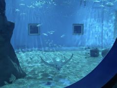 -北戴河圣蓝海洋公园