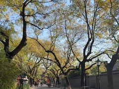 -北京国子监胡同