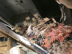 -城墙拐拐火锅(三峡广场黑金冠店)