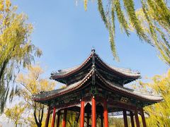 -颐和园