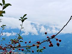 -水磨古镇