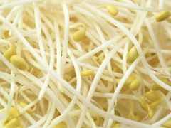 下锅豆芽菜-张氏父子常德肠子馆(贺龙店)