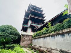 -桂湖森林公园