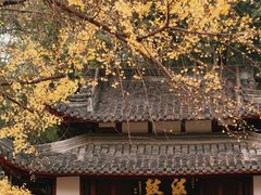 -成都市文殊院
